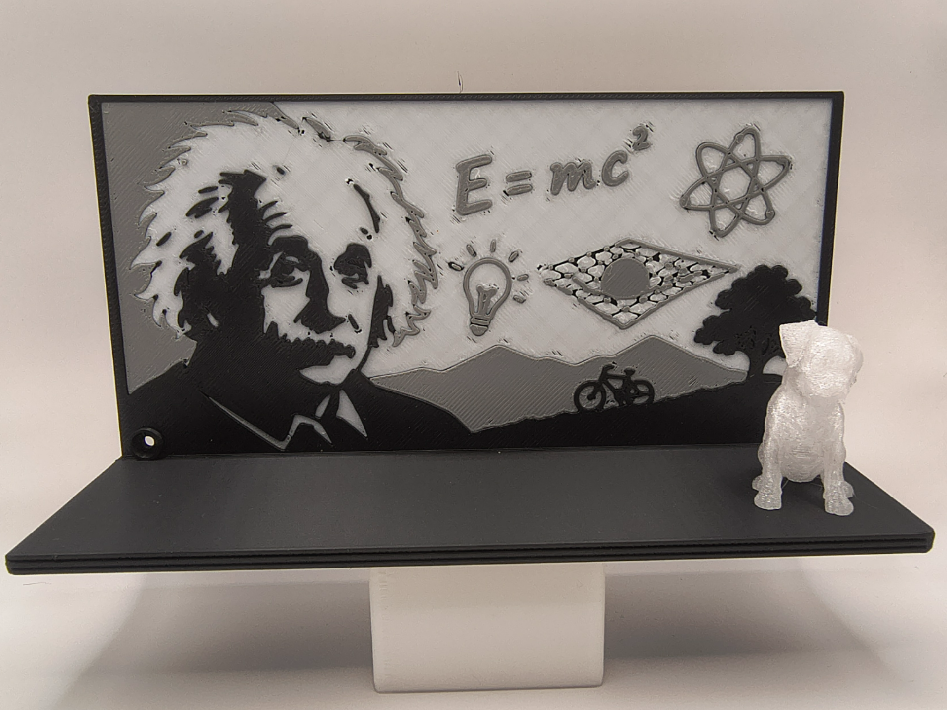 Albert Einstein Science Wall Shelf - 70s Icons