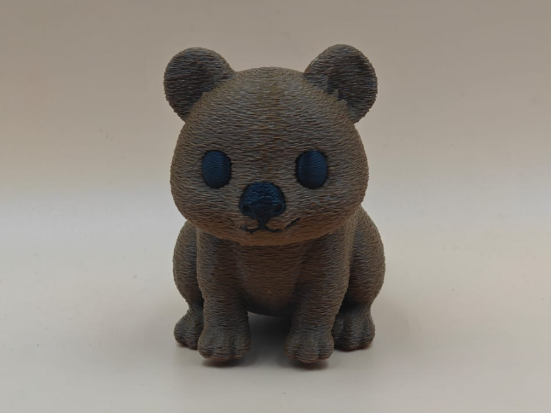 Koko the Smiling Quokka