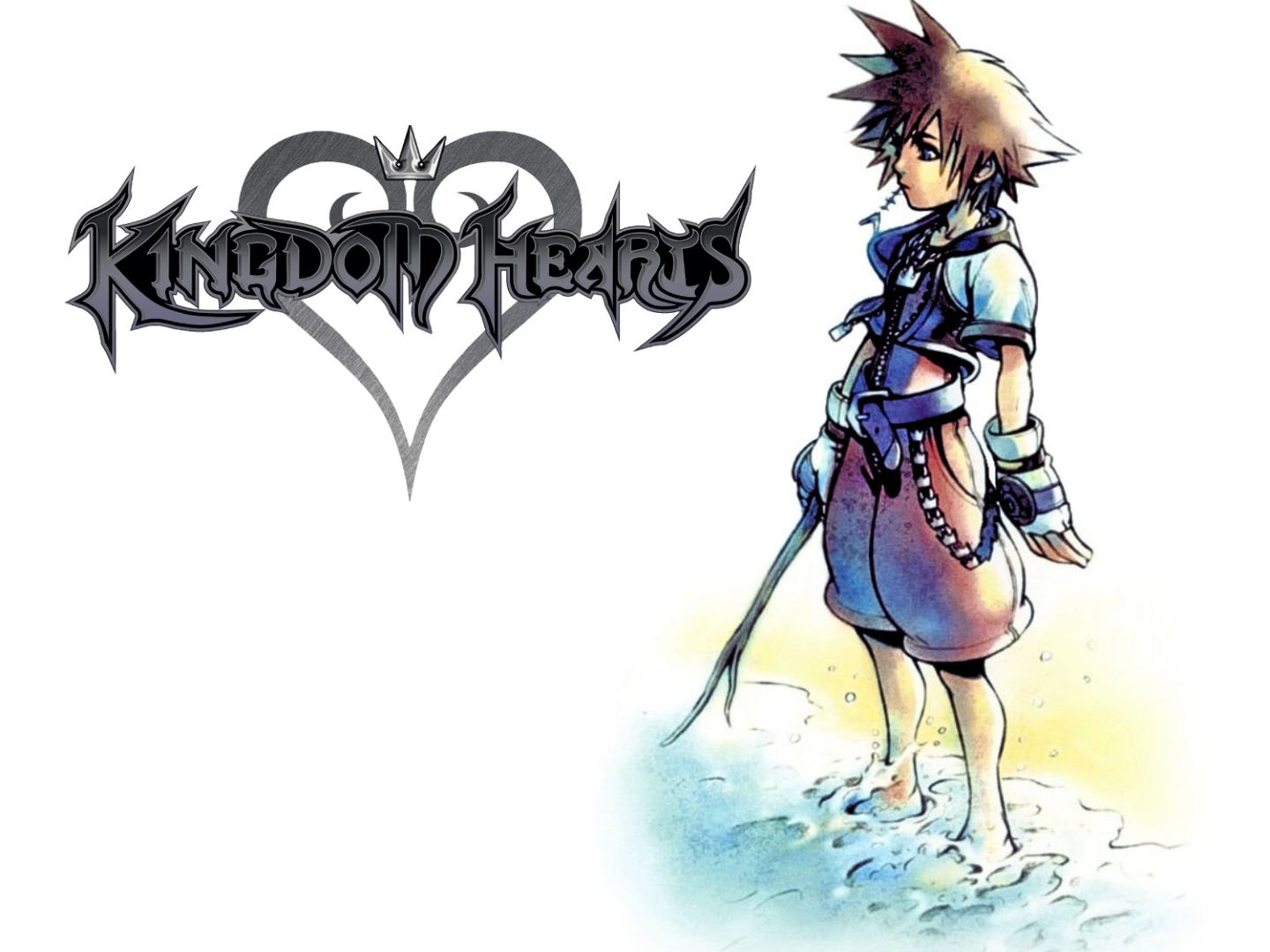 Sora / Kingdom Hearts double sided Relief w/ frame