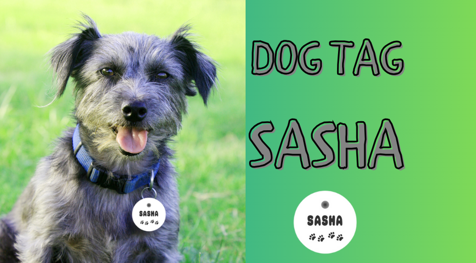 Sasha Dog Tag