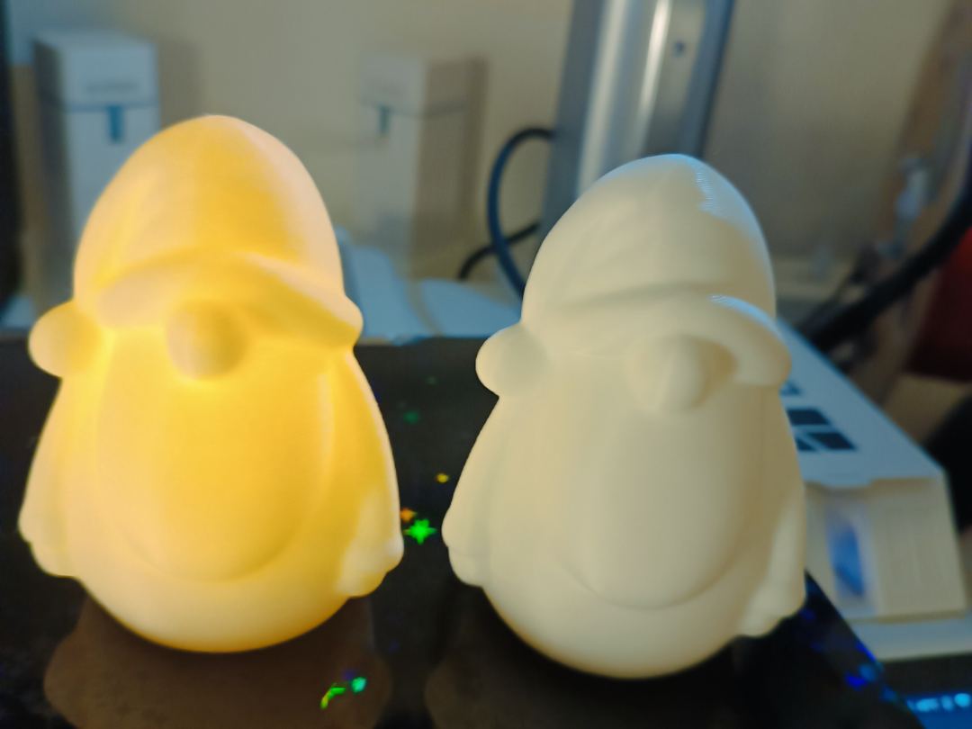 Winter Gnome 2025