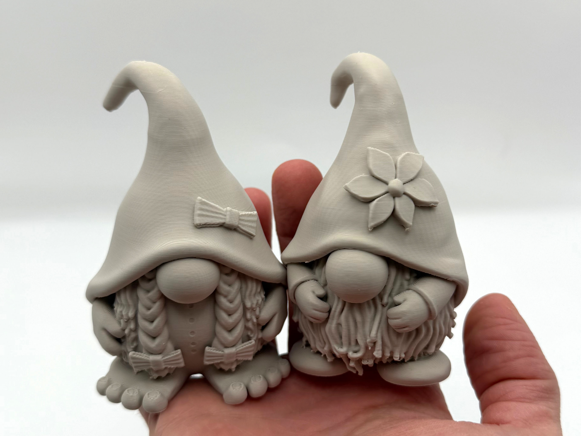 Cute Gnomes Couple