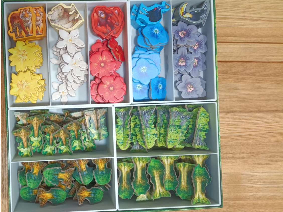 Hutan: Life in the Rainforest insert
