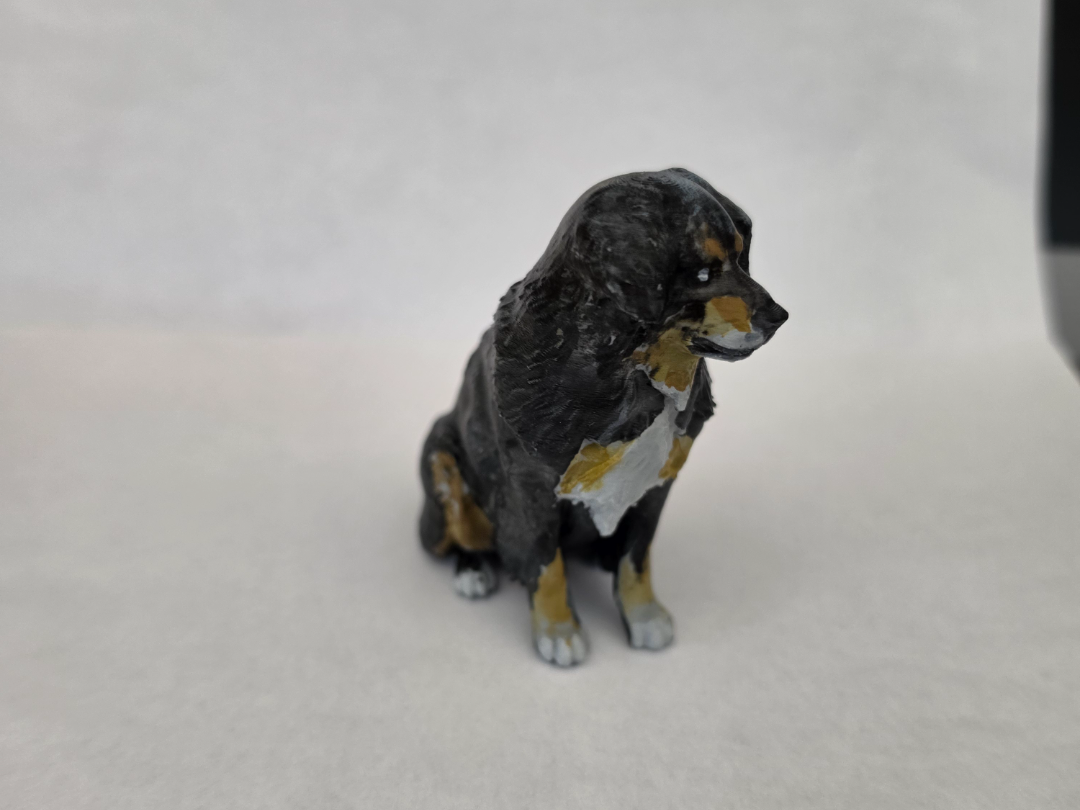 Australian Shepherd – realistisches Modell