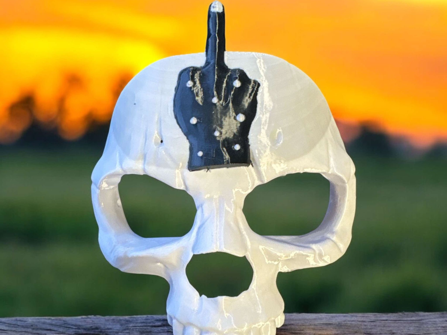 Skull Mask with Middle Finger