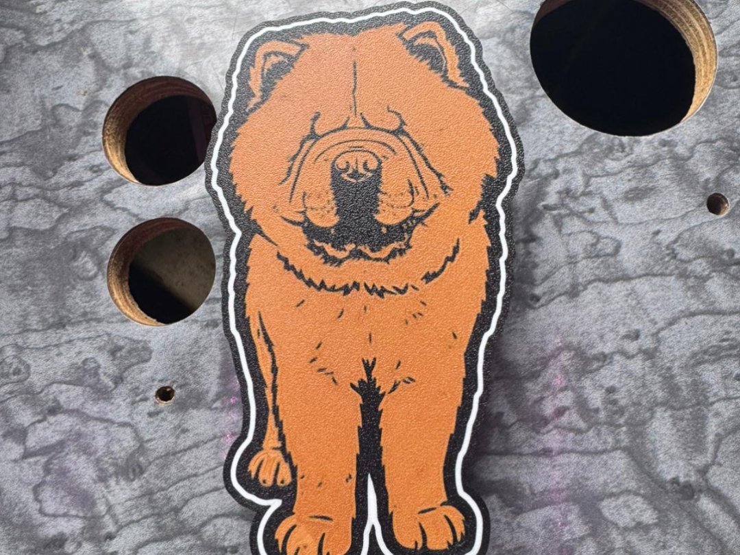 lampada chow chow