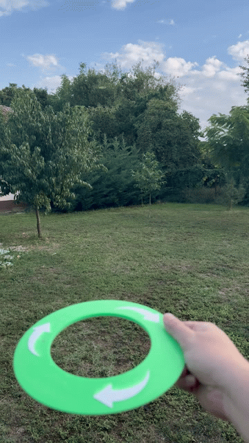 Flying Disc
