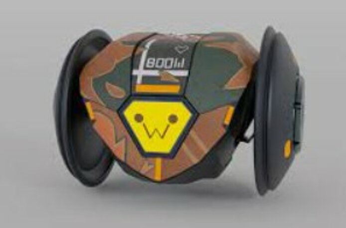 VALORANT RAZE BOOMBOT