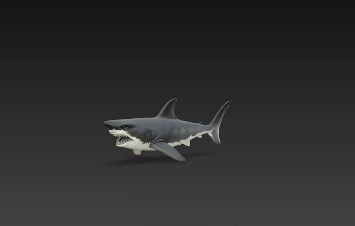 Aggressive Shark Model Open Mouth Ocean Predator 3D Model