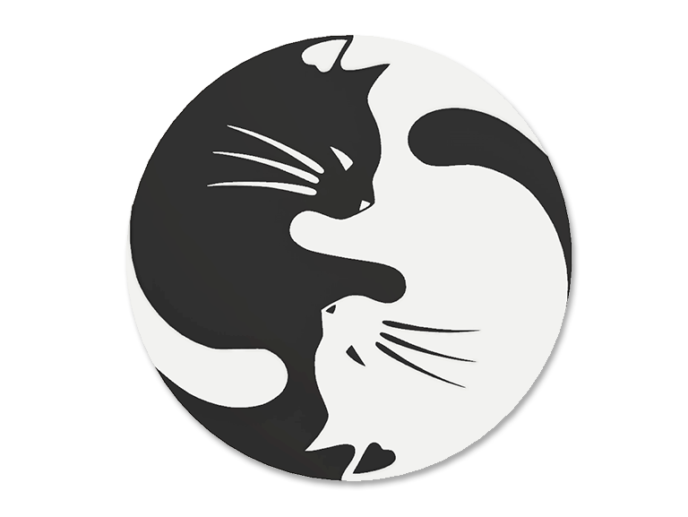 Black Cat, White Cat