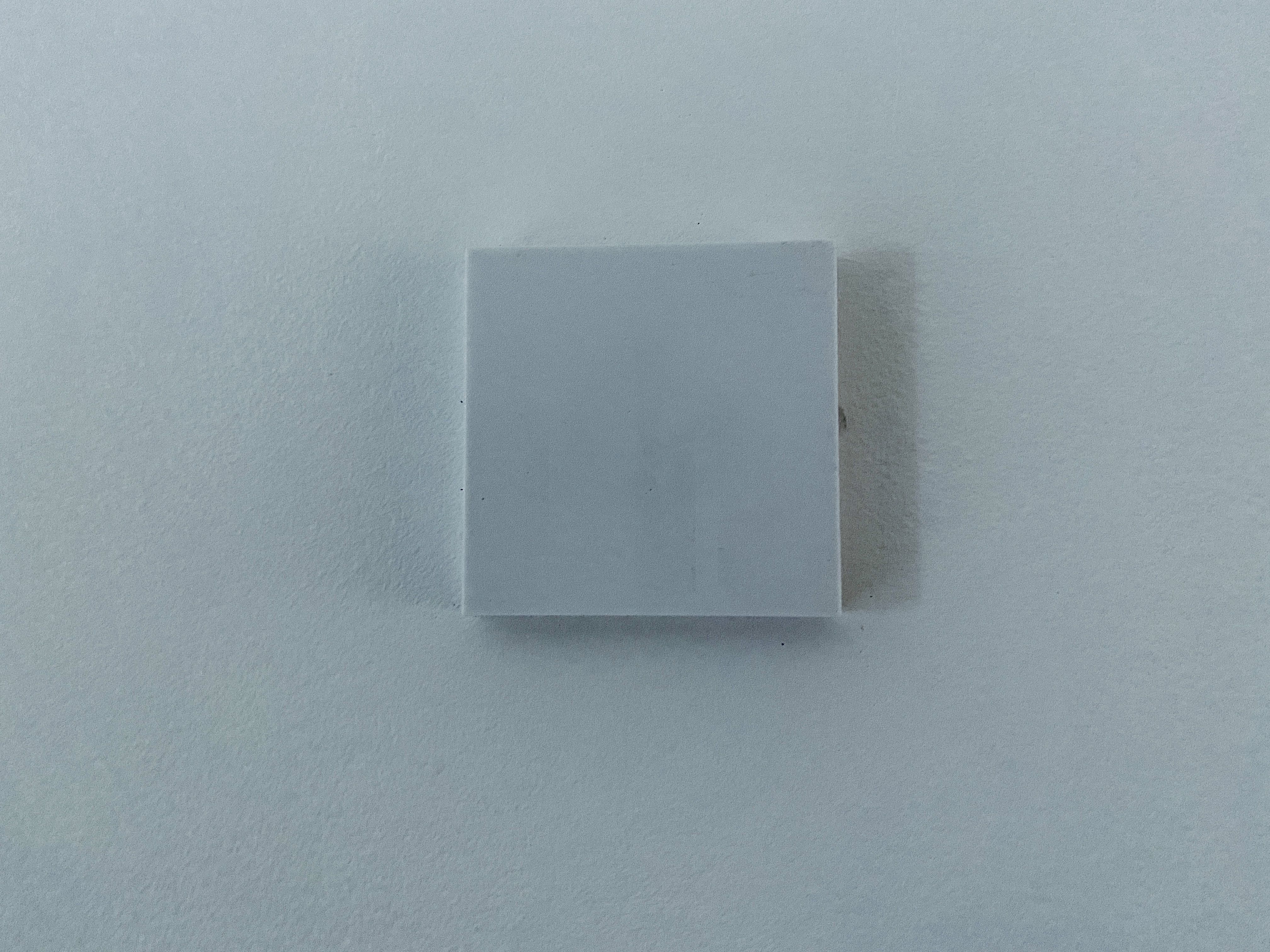 GIRA Steckdose System 55 Standard Abdeckung | GIRA Socket Cover