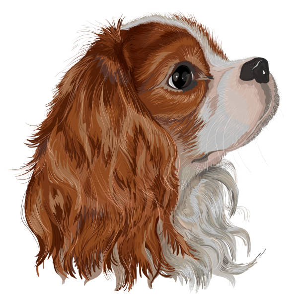 King Charles Cavalier Cookie Cutter