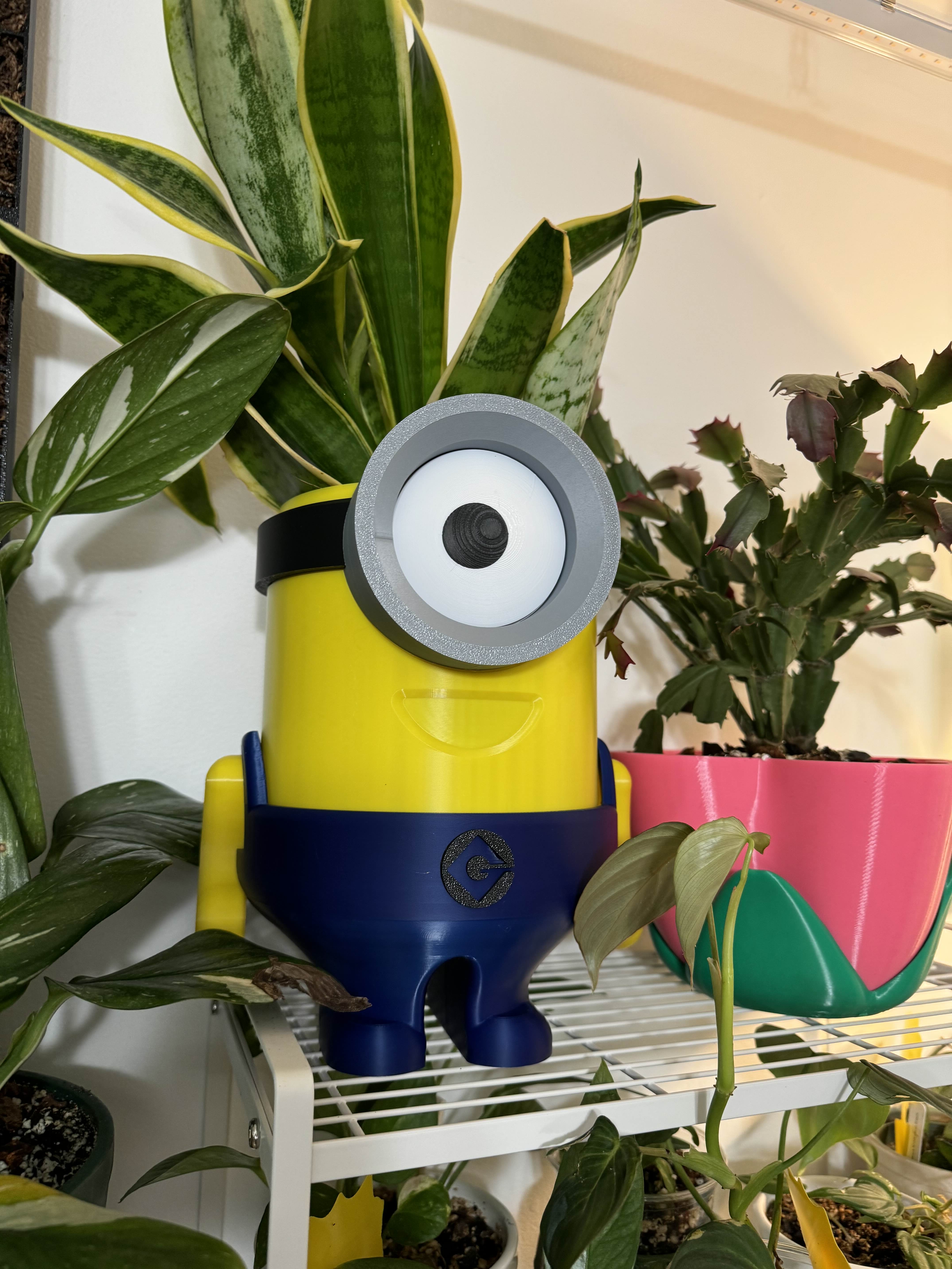 Gru Logo for Minion Planter