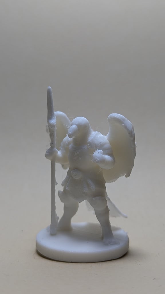 Birdfolk, Aarakocra Collection (DND / TTRPG)