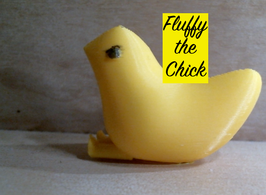 Fluffy The Chick