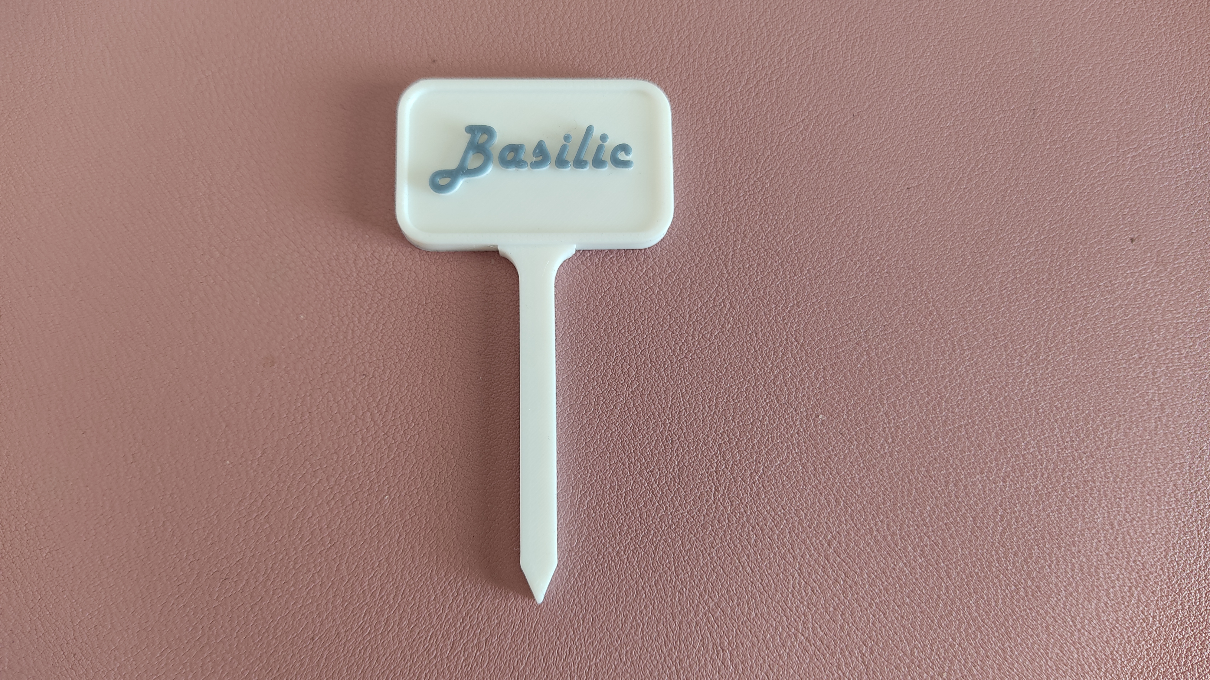 Etiquette sans inscription pour les pots et semis / Blank label for seeding and plant