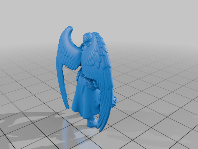 28mm DND Winged Angelic Warrior Armor Book Halo Wings StarForge Kits 3D Print STL File