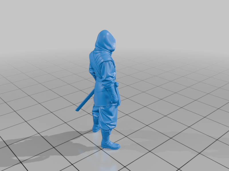 28mm DND Ninja Assassin Hooded Robes Dual Katanas Stealth Stance StarForge Kits 3D Print STL File