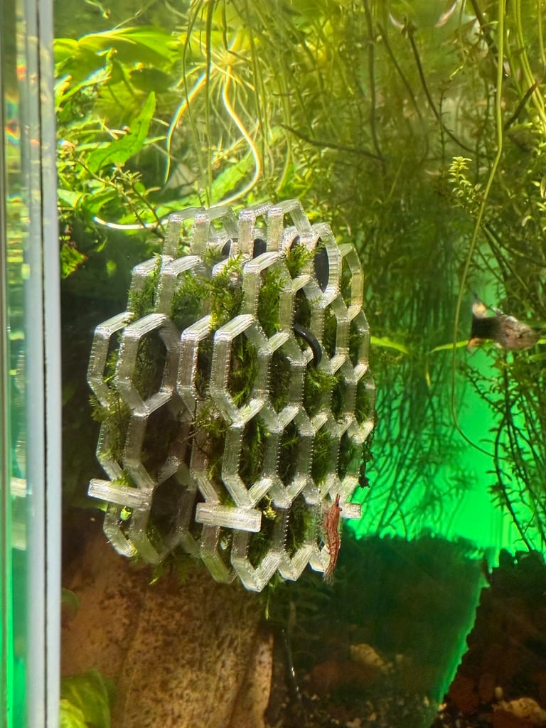 Hexagon Moosgitter / Moss Wall for Aquarium – Garnelenfreundliches 3D-Druck Design mit Magnetbefestigung (PETG)