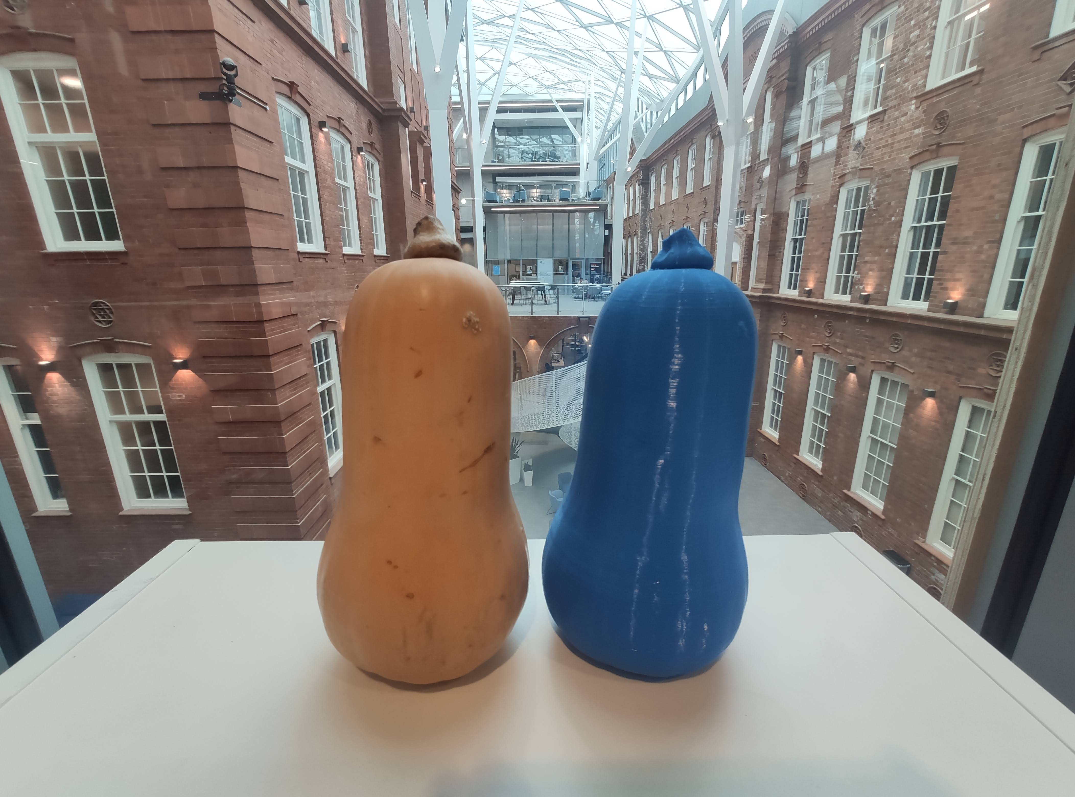 Butternut Squash - 3D Scan
