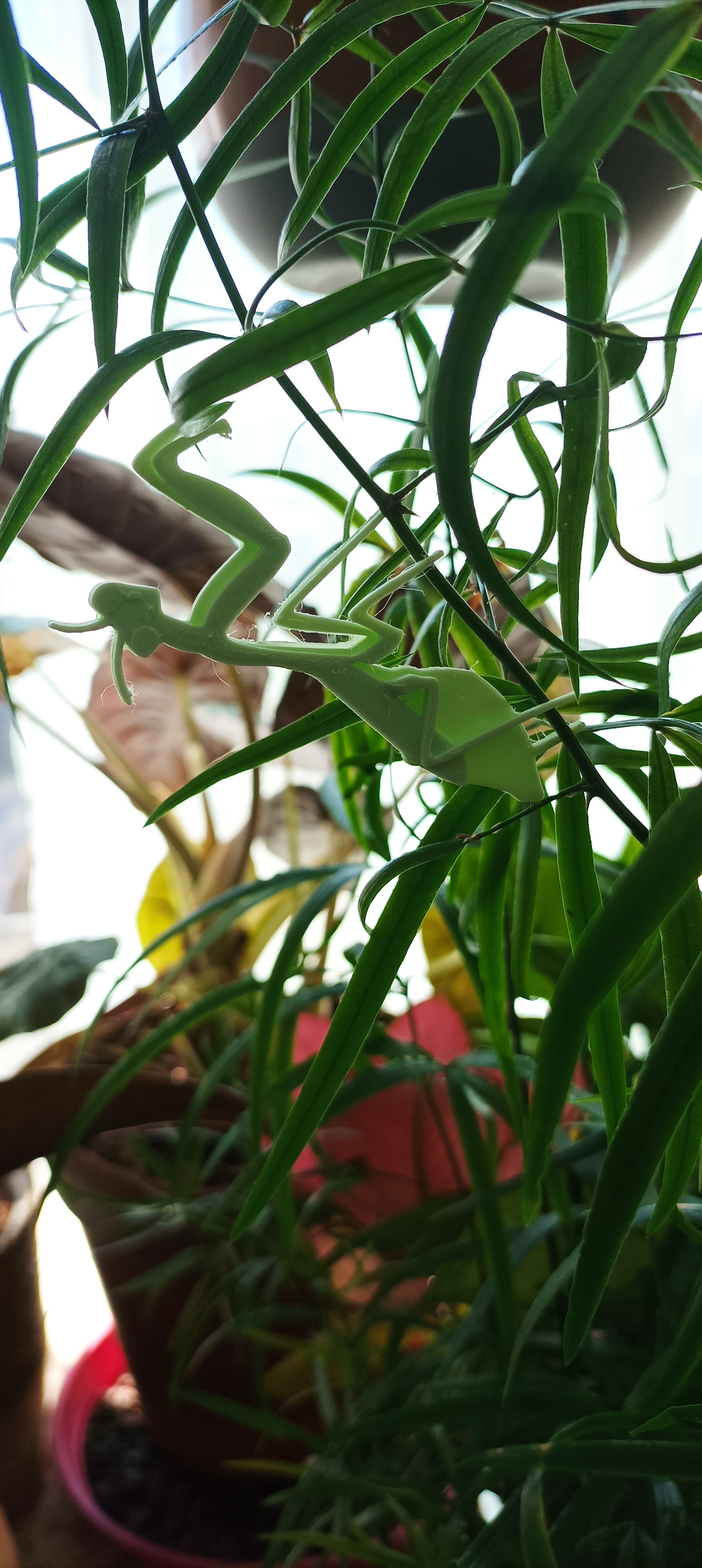 Mante religieuse de décoration pour plantes