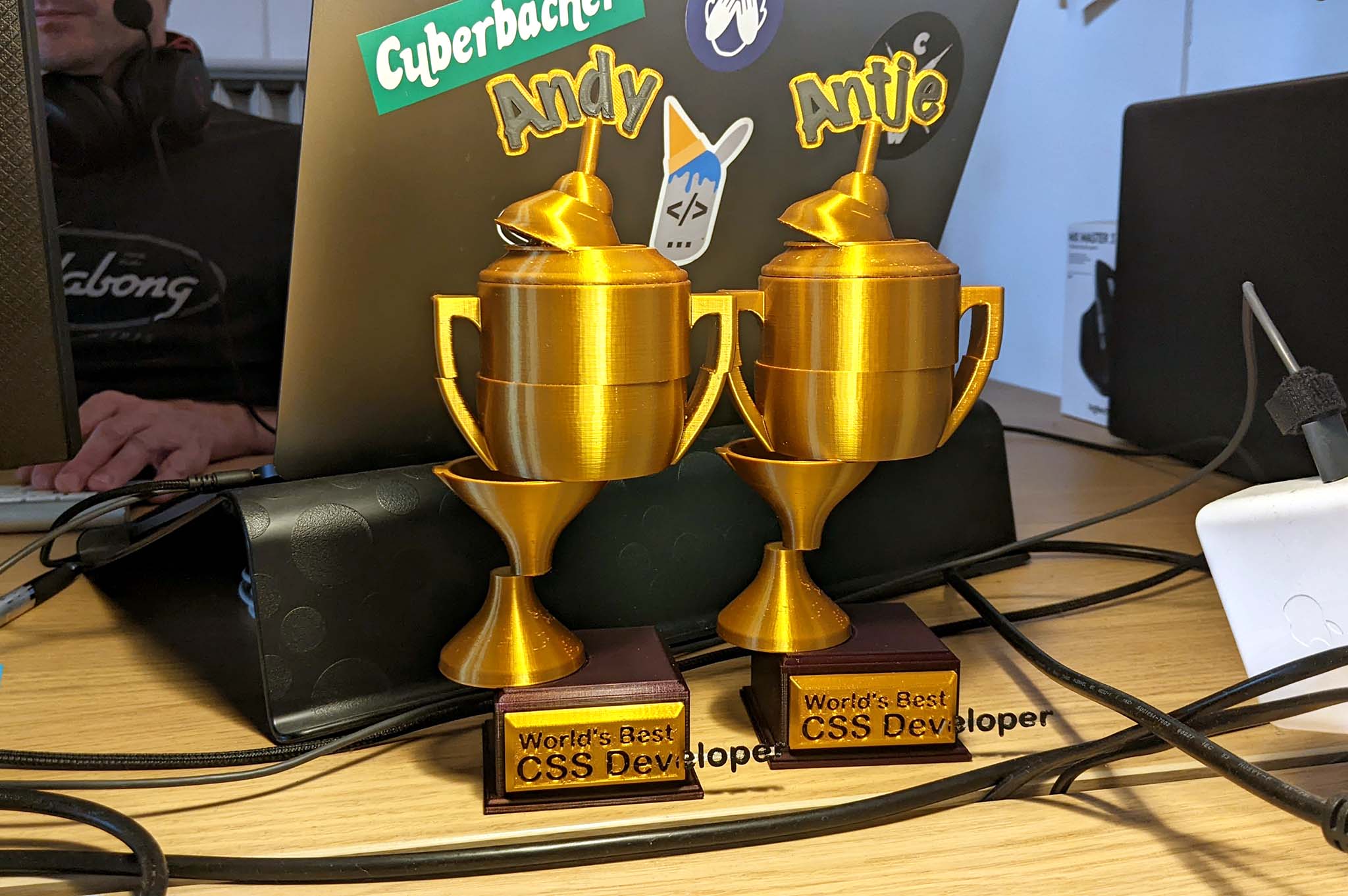 Trophy: World's Best CSS Developer / (Glueable + Lid) edition