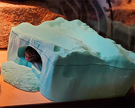 False-Rock Reptile Humid Hide