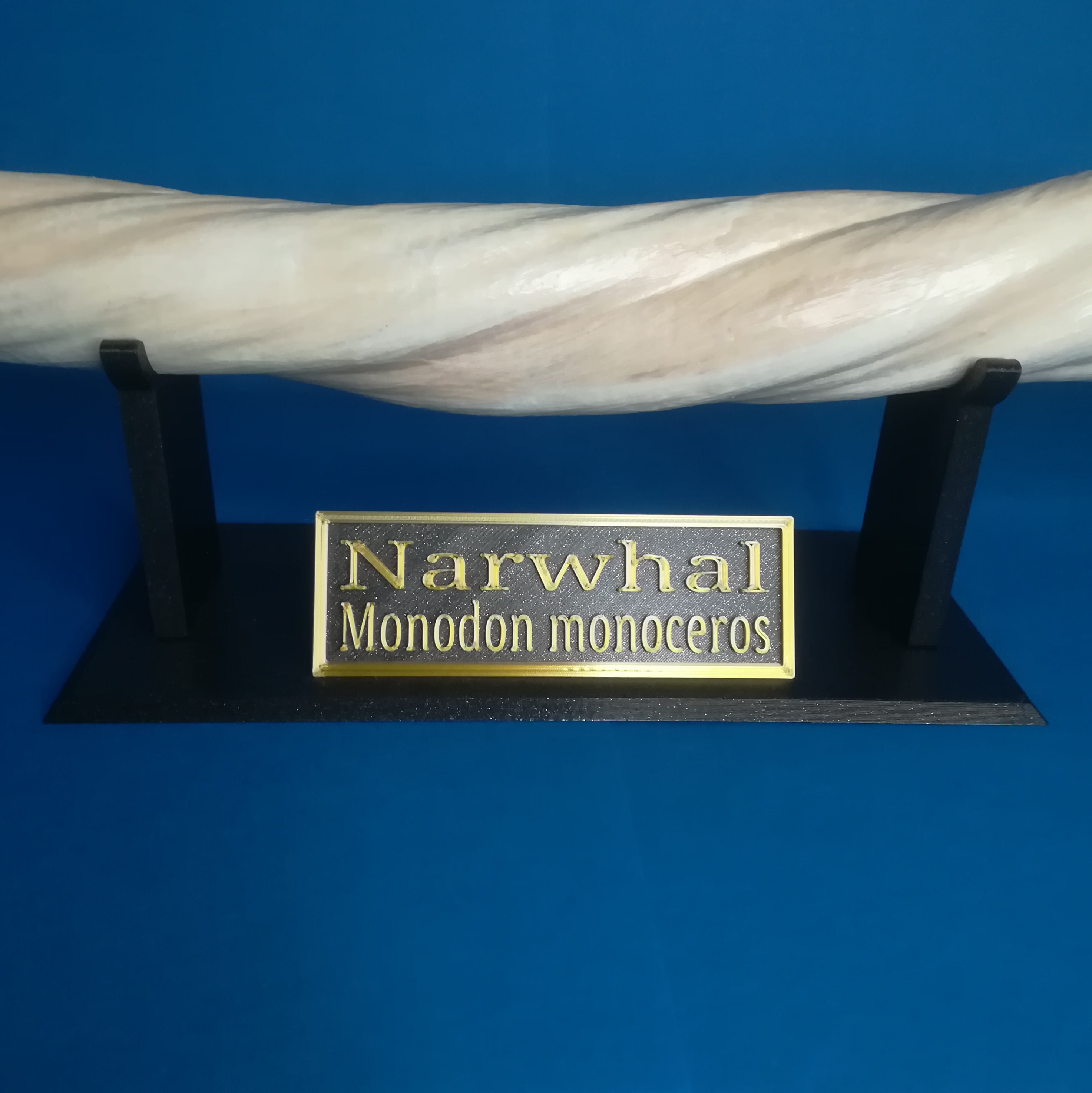 Narwhal tusk walking stick stand