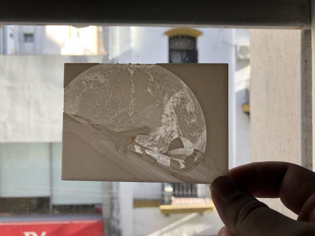 SpaceX 's Starman lithophane