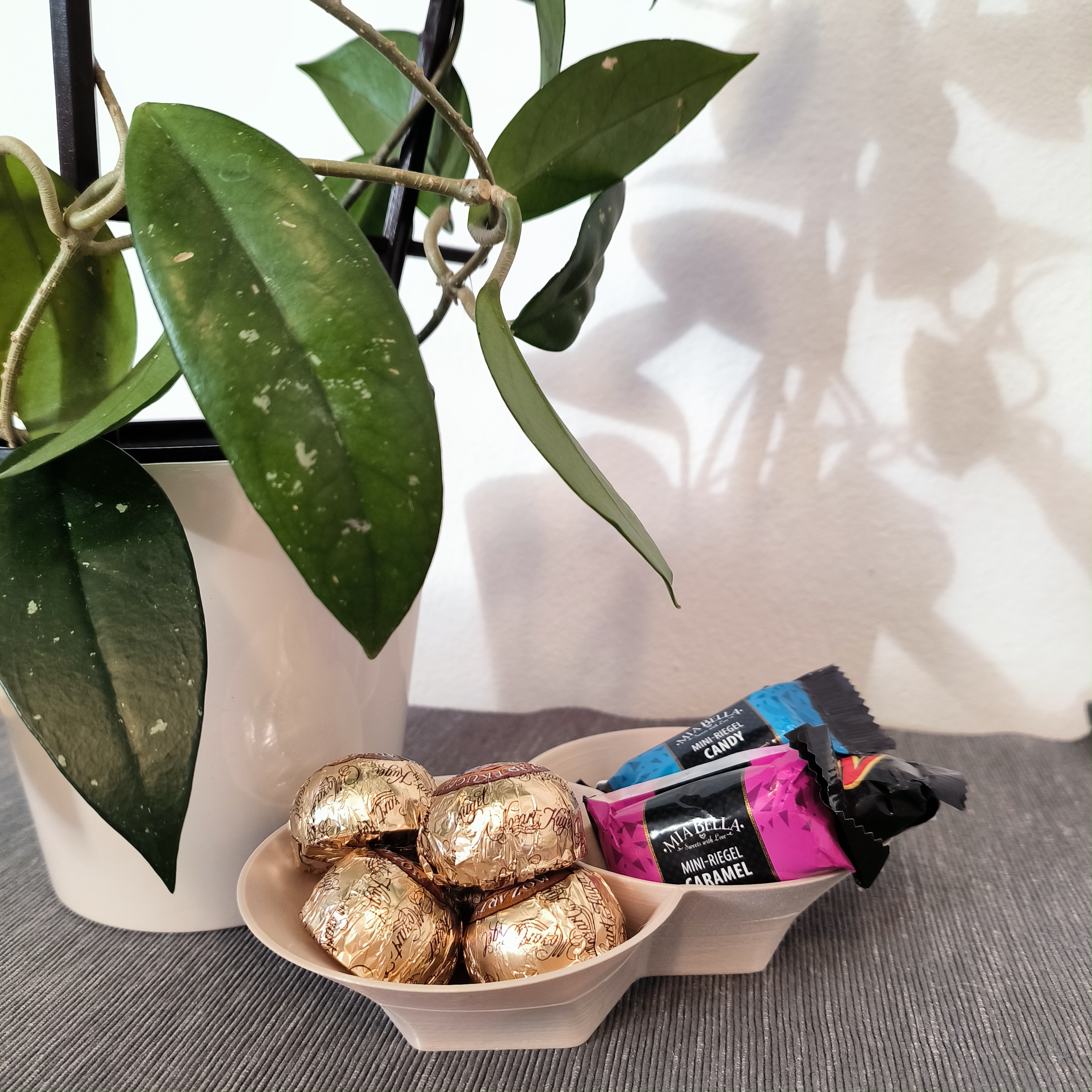 Snack bowl with a separator
