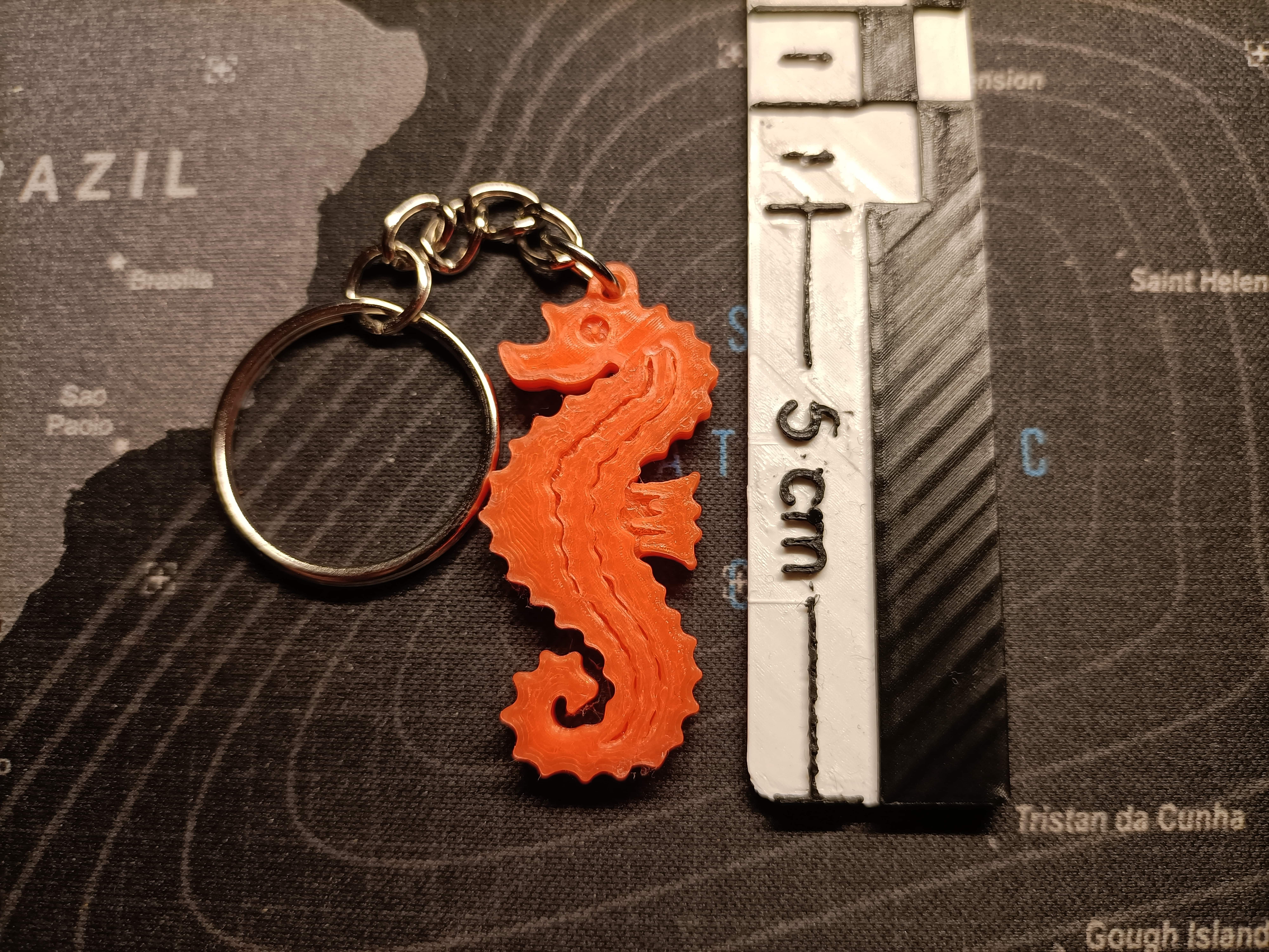 DLRG Seepferdchen Schlüsselanhänger - Seahorse Keychain