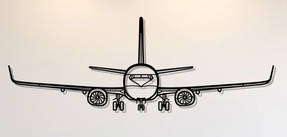 Boeing 737-800NG Wall Art