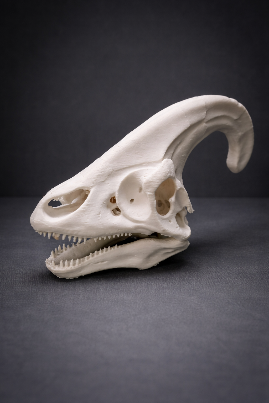 Parasaurolophus Schädel (Realistisches Dinosaurier Fossil)
