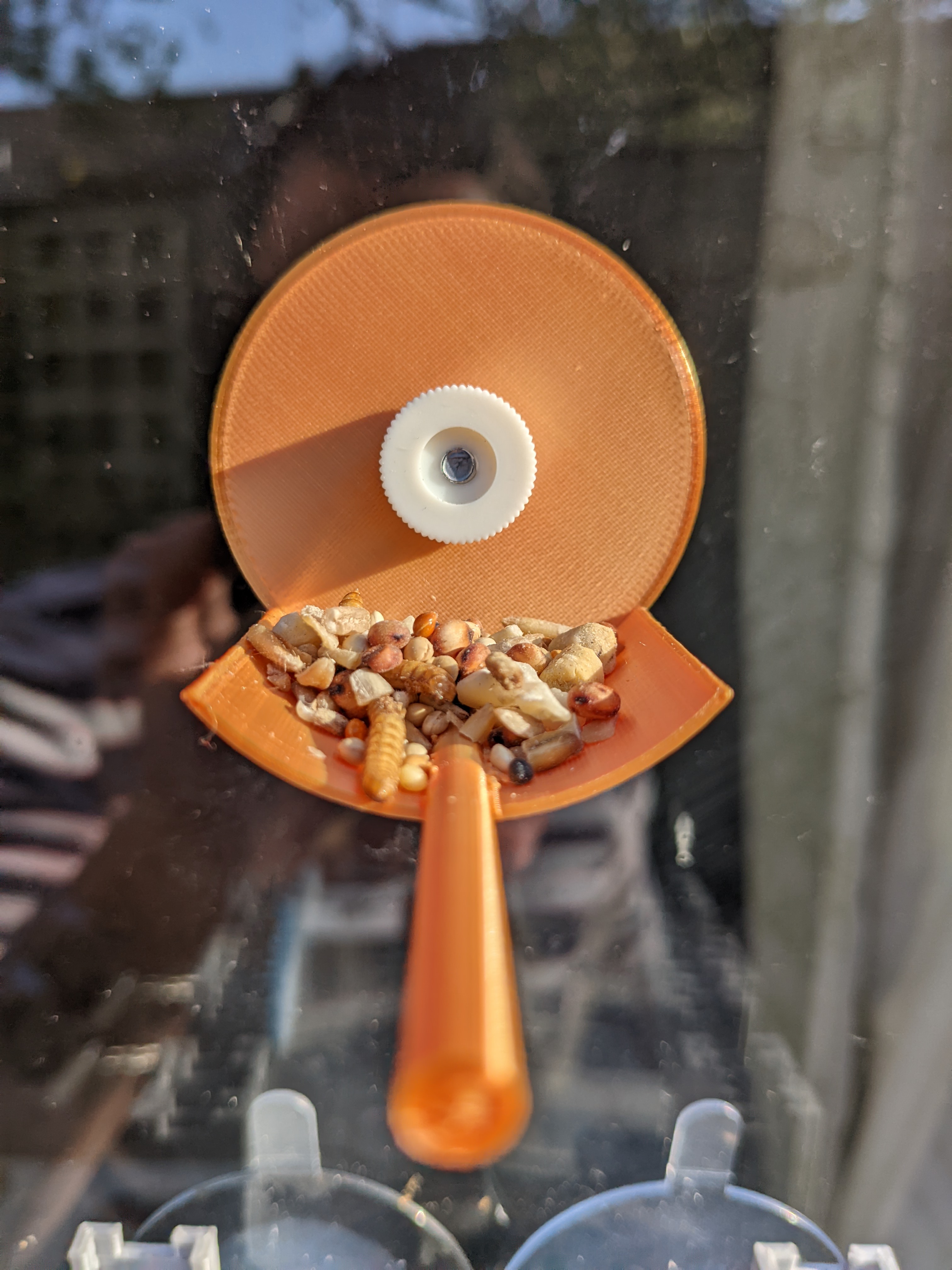 A Simple Bird-Feeder for Windows