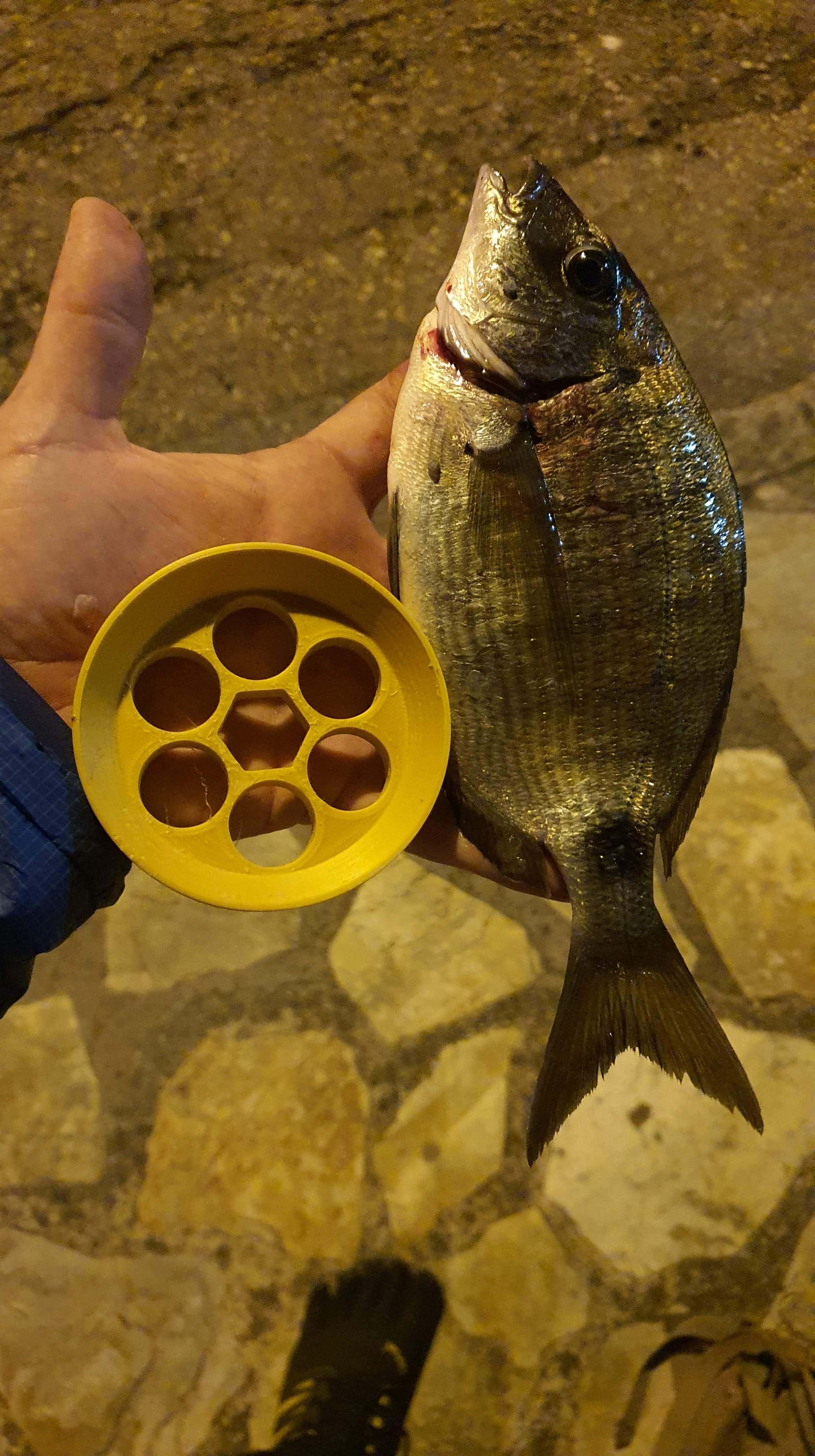 Portable hand Fishing ring (cuban YOYO) / Carrete de pesca a mano portátil