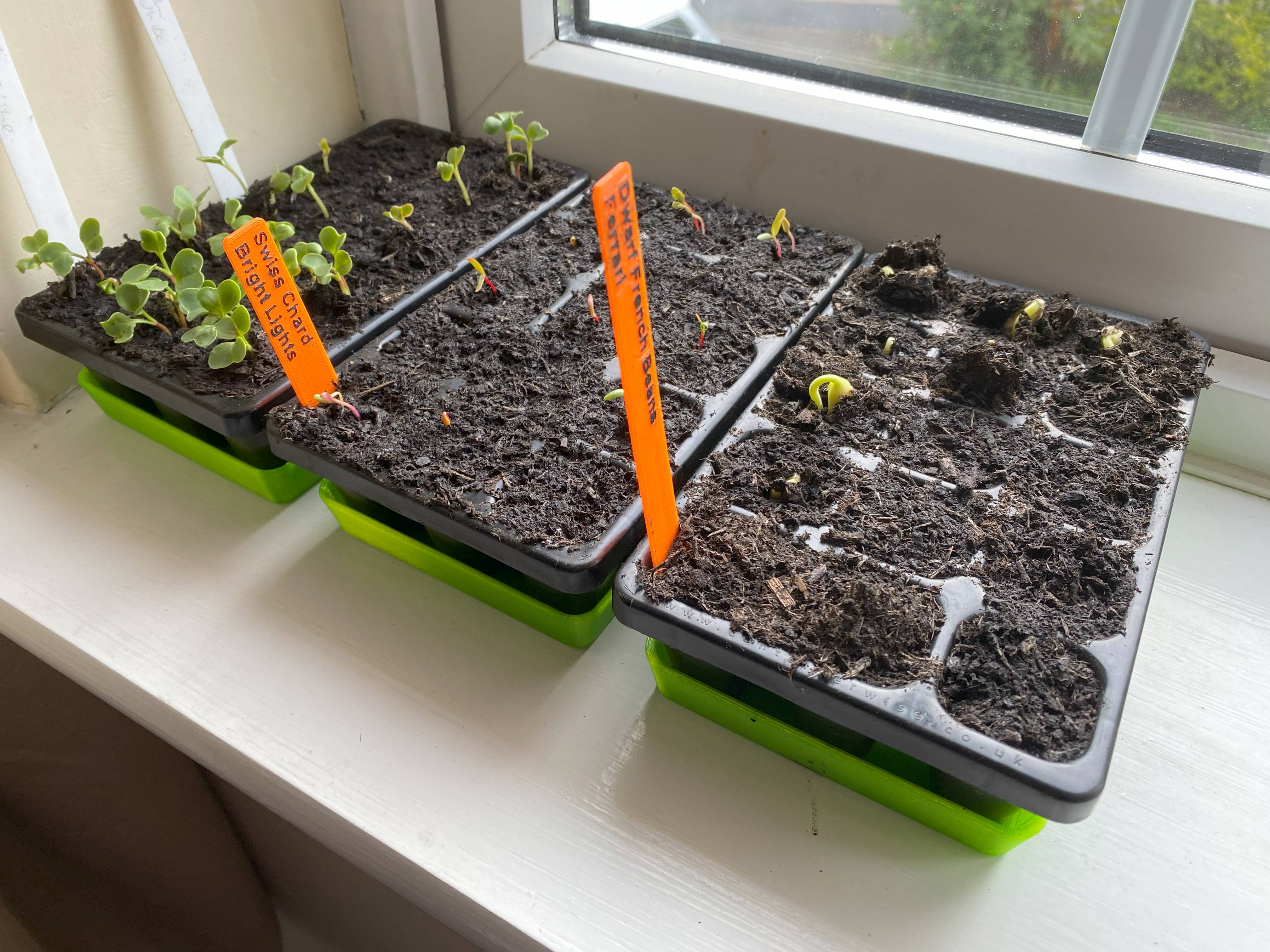 Water trays for Charles Dowding CD15 and CD30 Seed Module Trays