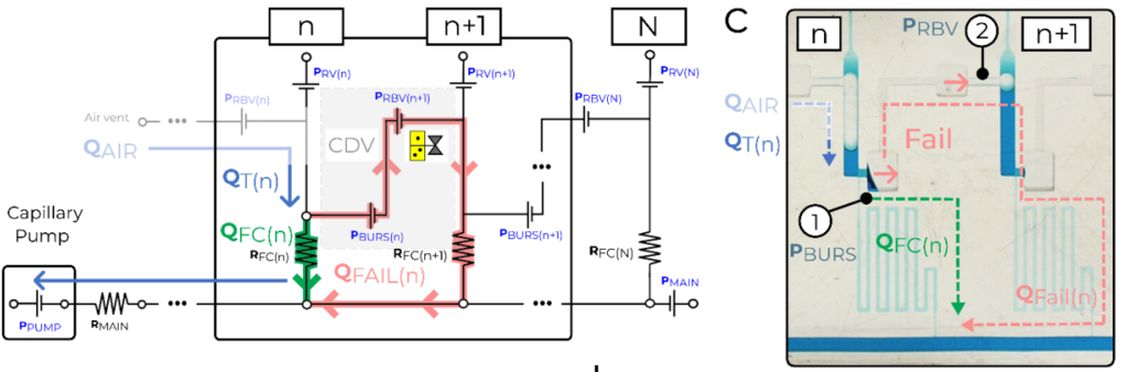 Circuit analysis and experiments identify operational window for microfluidic chain reactions