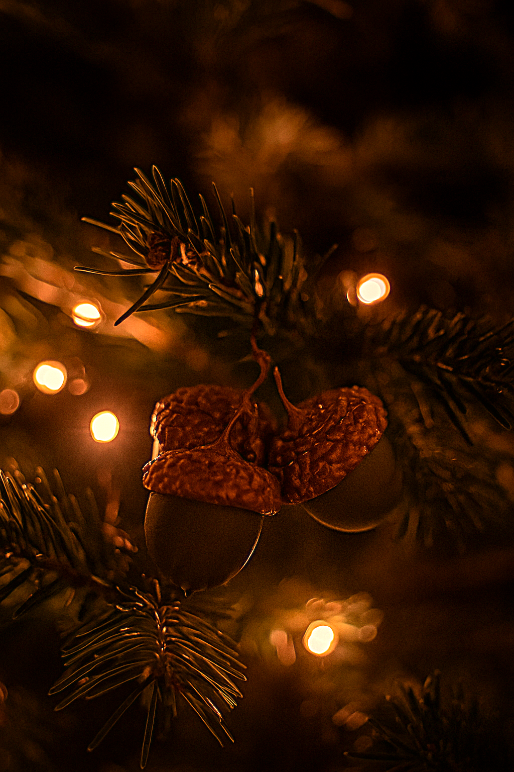 thee acorns for cinderella (Drei Nüsse/Eicheln für Aschenbrödel)