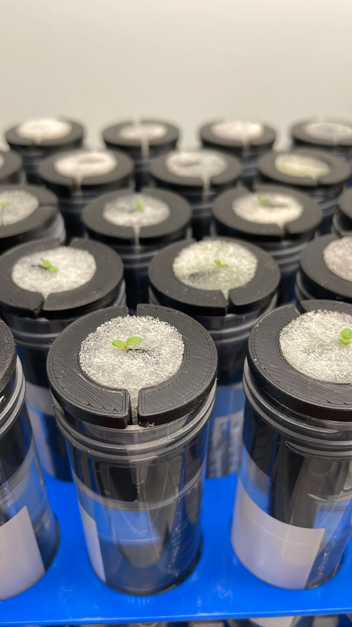 Falcoponics Lab Tube Hydroponics System