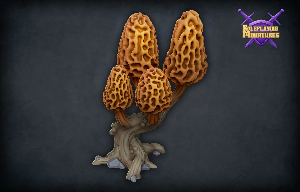 RPM Patreon "Morel mushroom tree"