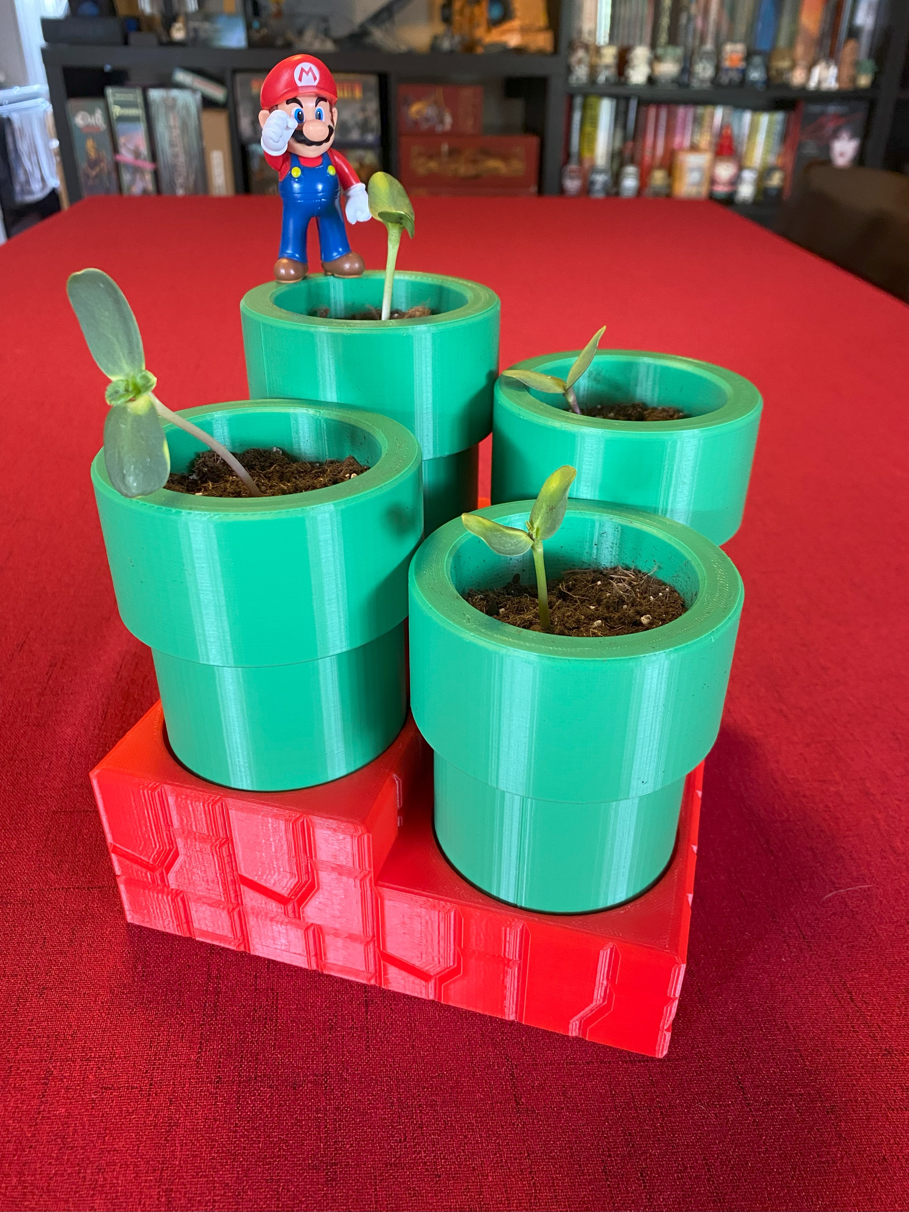 Super Mario Brothers Herb Garden