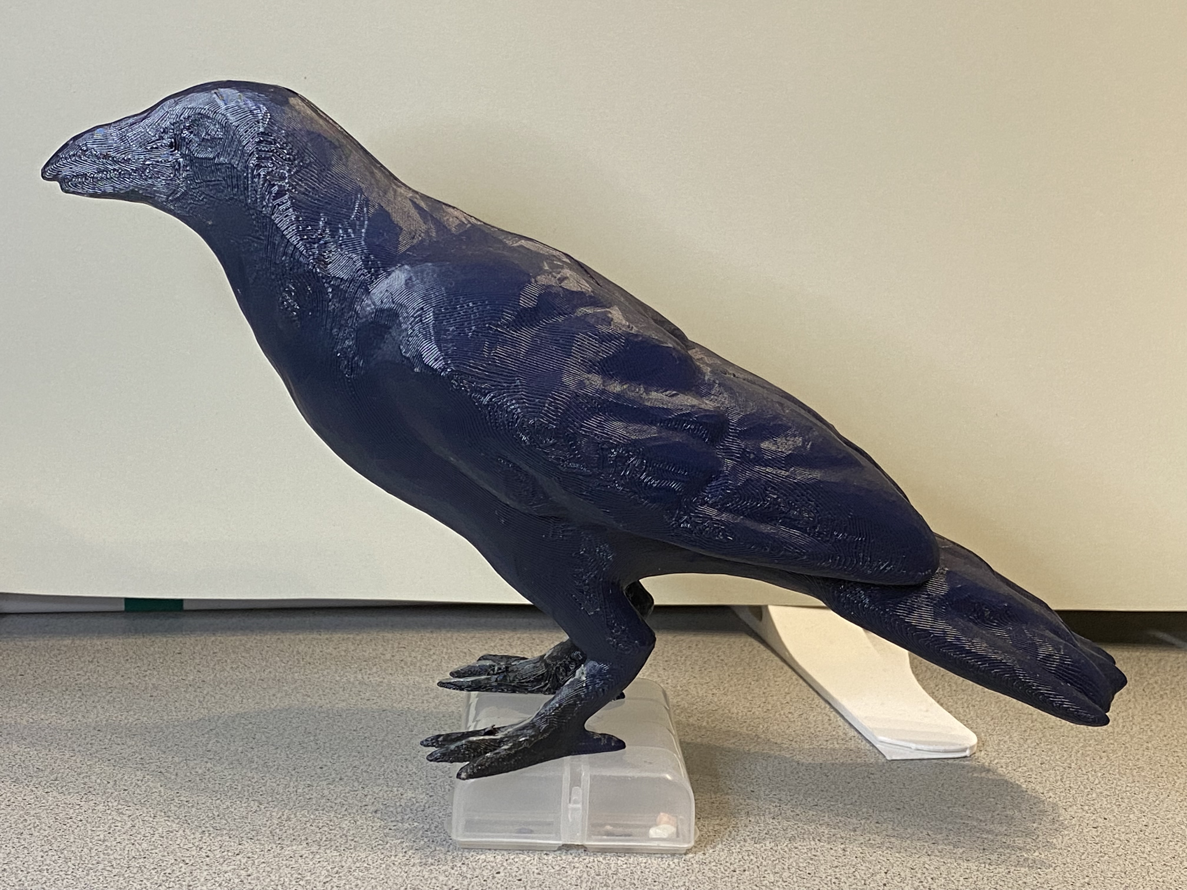 Scare Crow - Raven - Vogelscheuche - Rabe