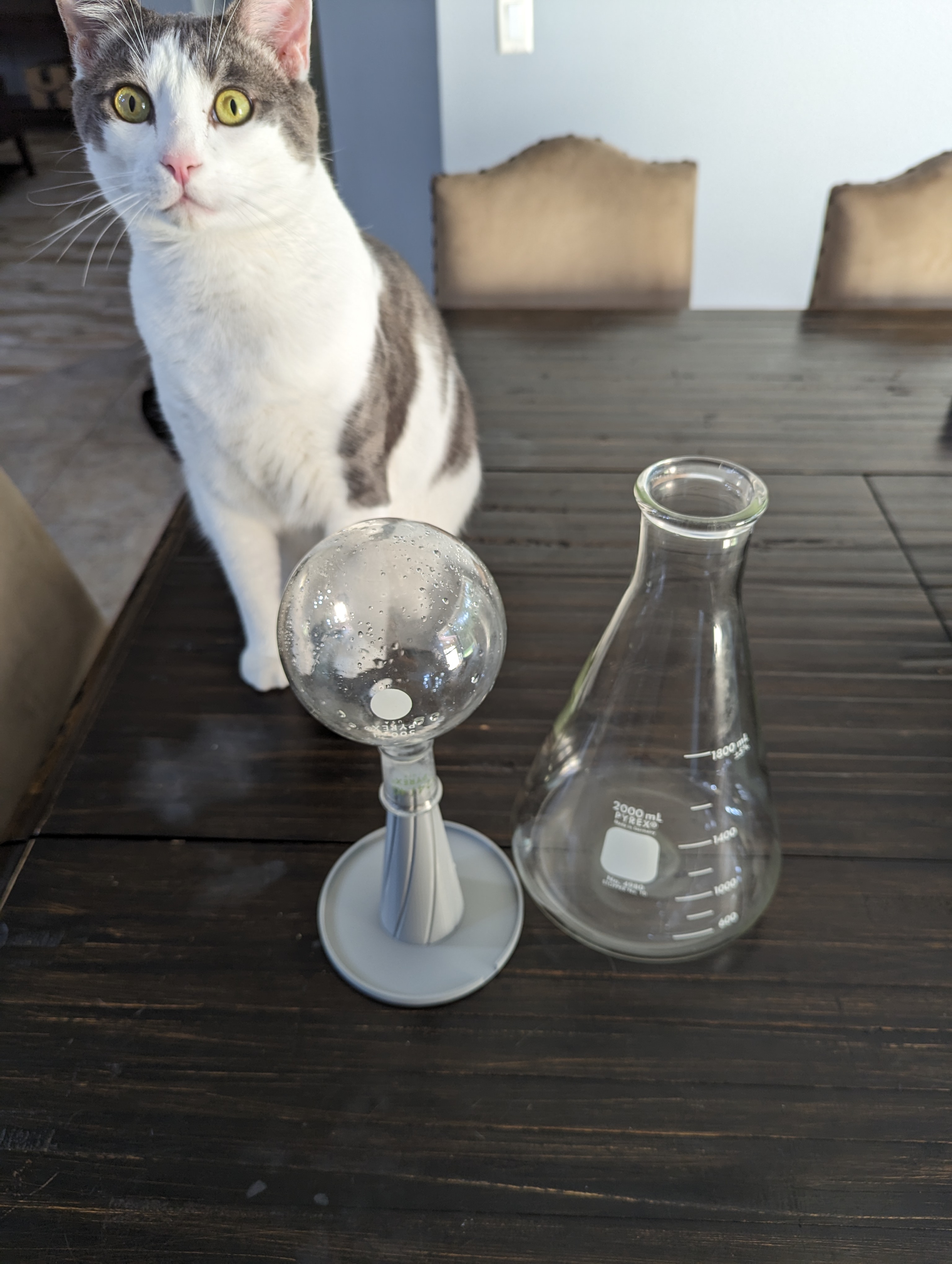 (Parametric) Chemistry Glassware Drying Stand