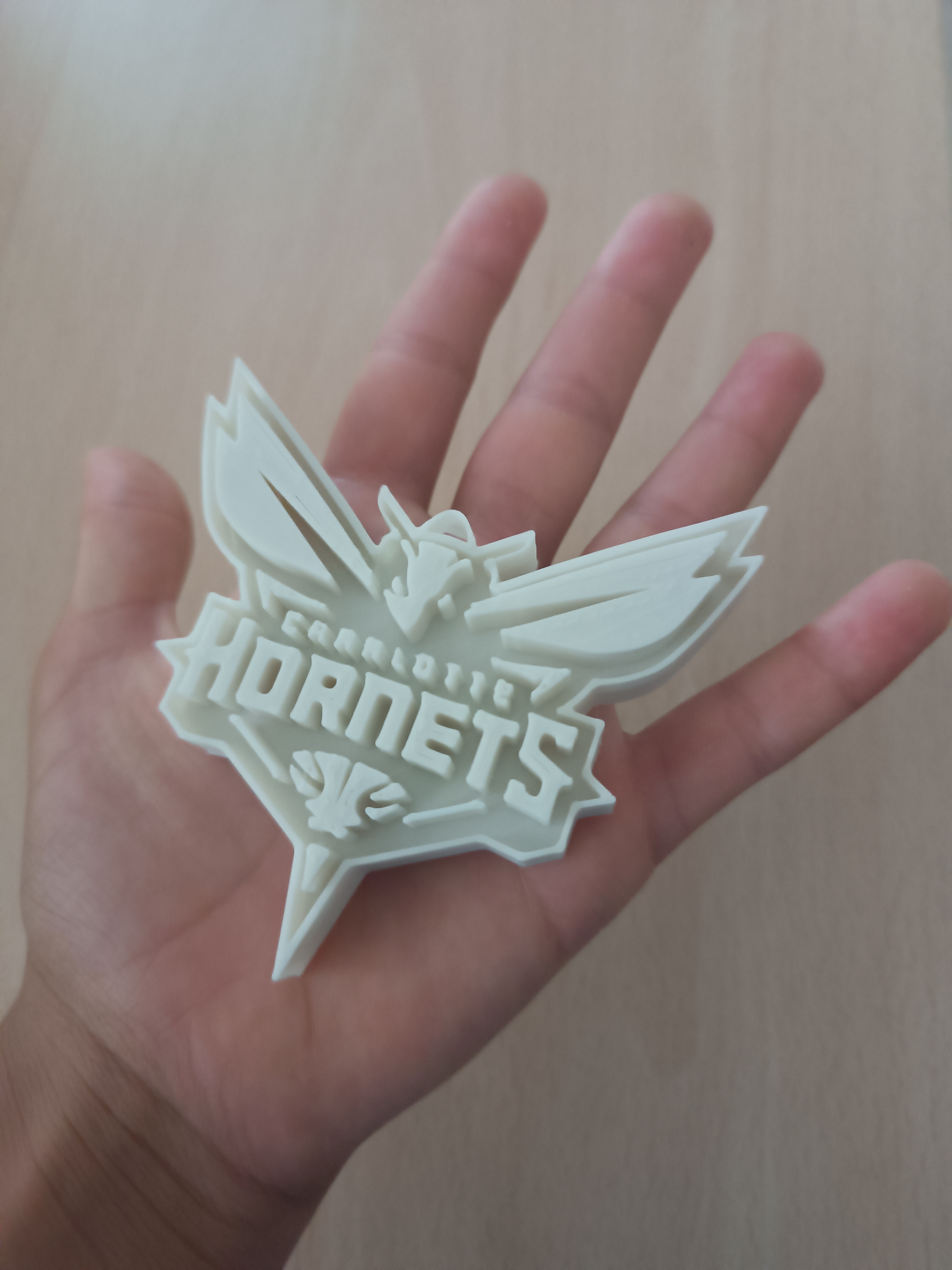 logo de los charlotte hornets con anilla para llavero
