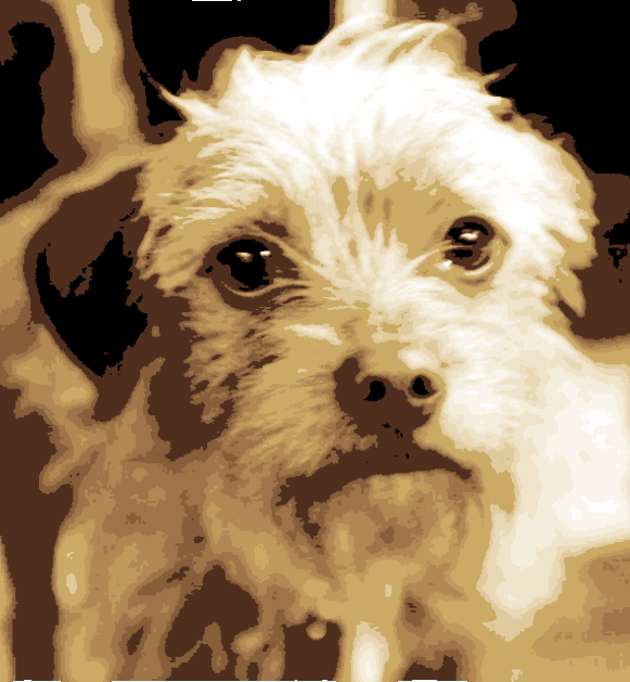 Archer - World's Best Dog - HueForge