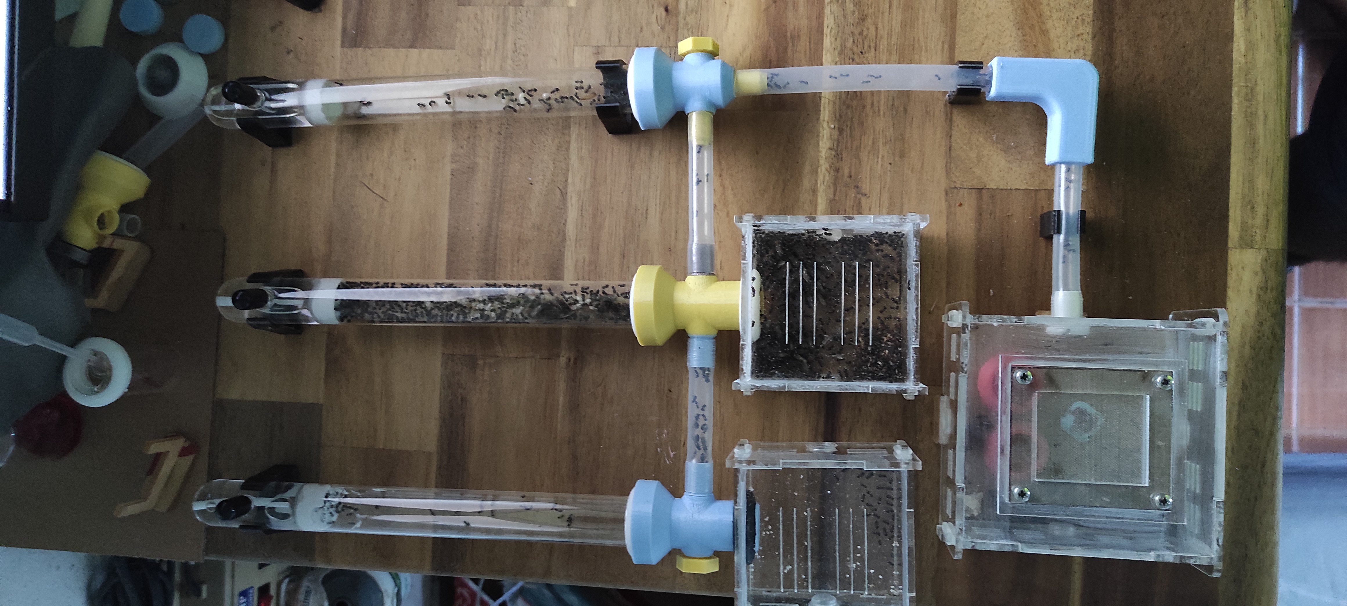 20 mm. Glass tube ant nest to OW connector.