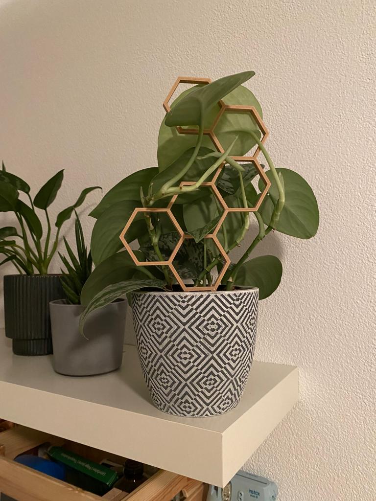 Multiple Plant Support / Plant Trellis / Hexagon / Honeycomb V2