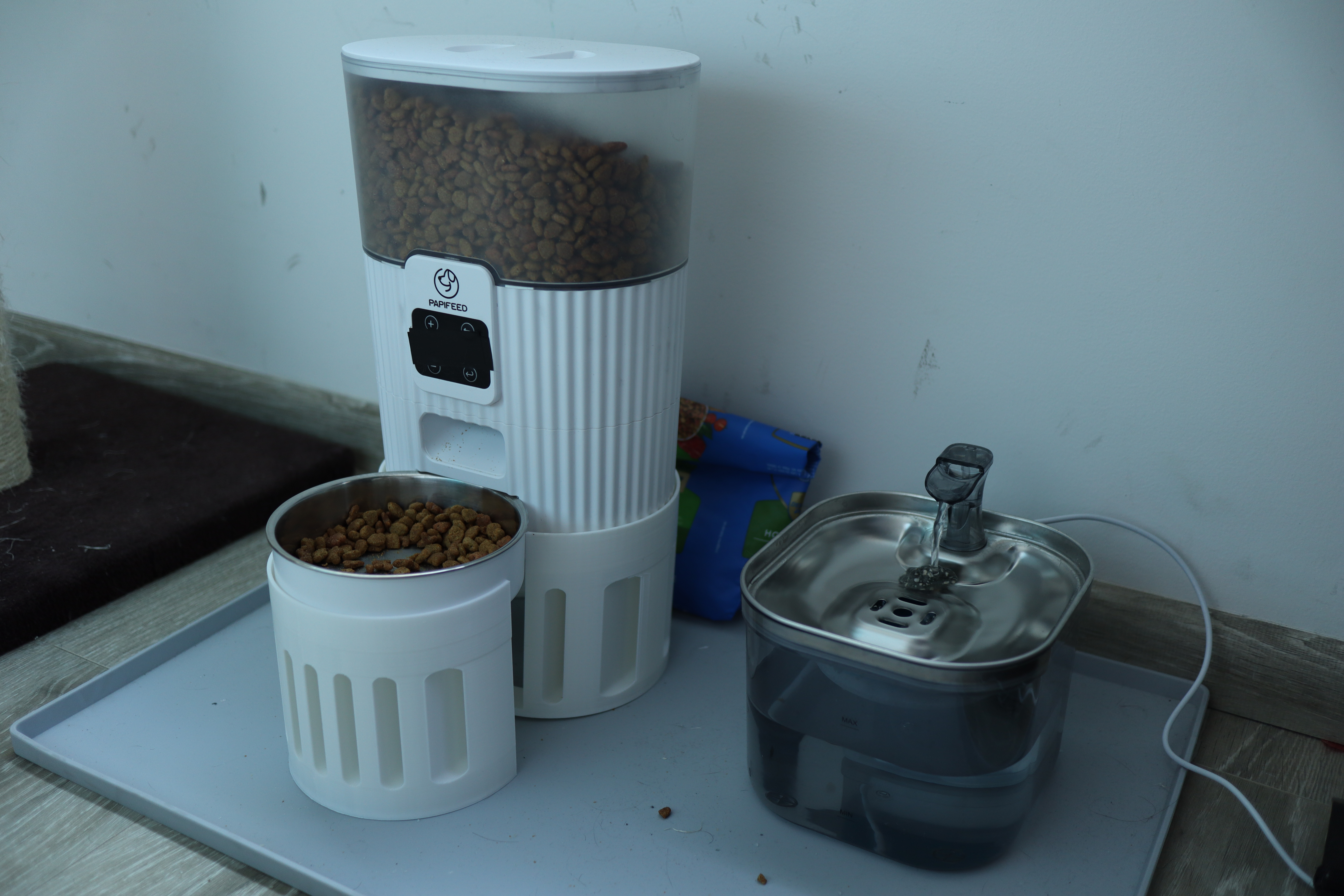 Papiffed automatic food dispenser riser