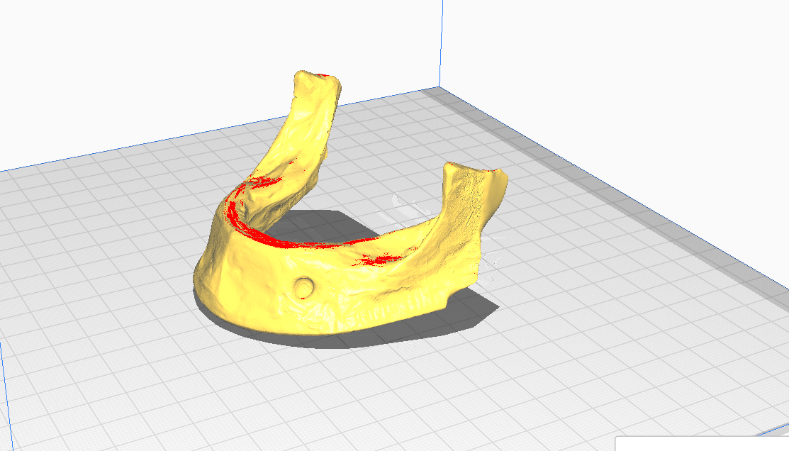 training mandible without teeth of lower jaw