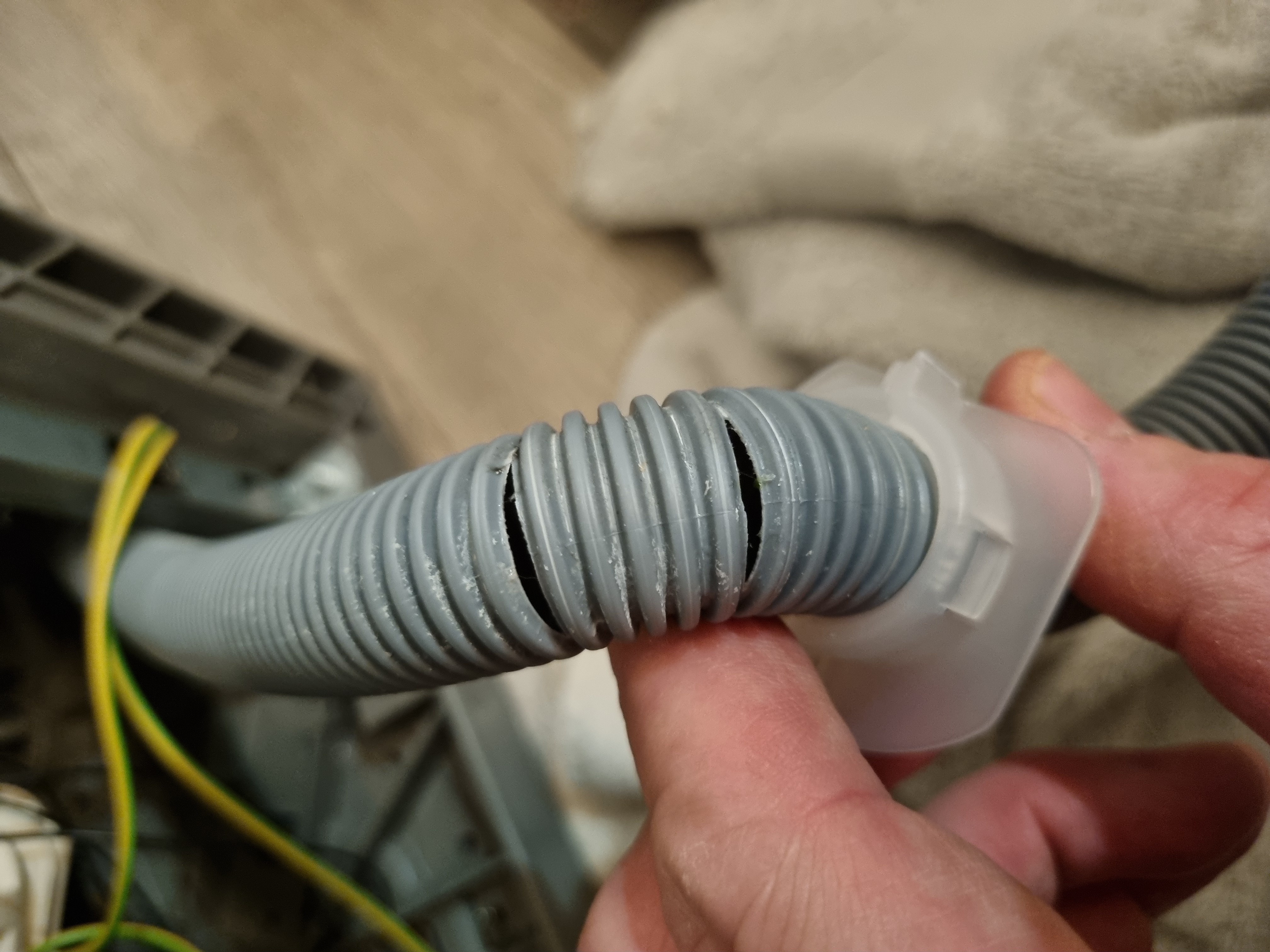 Dishwasher wastewater hose coupler